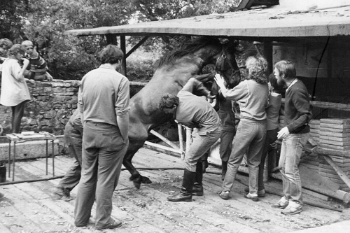 Kování koní nemusí vždy být hračka. Na fotce vpravo Leša.